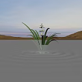 Green Plant with White Flowers Long Leaves Growing in Water Ripples Distant Mountains Lilac Sky