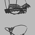 Elegant Black Lace Lingerie Set With Bras And Matching Panties