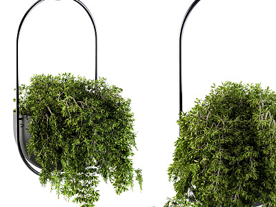 modern hanging basket model