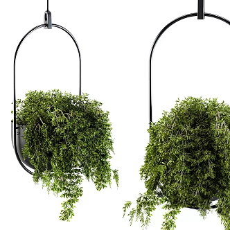 modern hanging basket 3d model