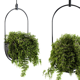 modern hanging basket 3d model