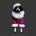 Poodle Dog Wearing Pink Outfit With White Furry Trim Against Gray Background