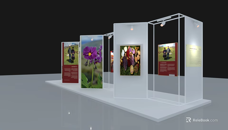 Transparent Exhibition Display Stands With Colorful Images And Text Descriptions 3d model 