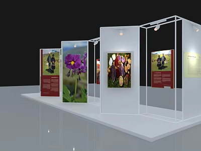 Transparent Exhibition Display Stands With Colorful Images And Text Descriptions 3d model