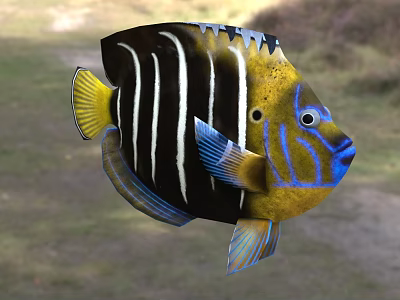 Tropical Aquatic Fish With Black Body White Stripes Yellow Head And Blue Fins 3d model Tropical Aquatic Fish With Black Body White Stripes Yellow Head And Blue Fins 3d model