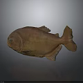 Brown Fish Model With Detailed Fins And Tail On Gray Reflective Surface Displaying Natural Texture