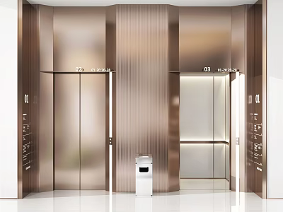 Elegant Modern Elevator Lobby Interior With Bronze Metallic Walls Elevator Doors And Sleek Flooring 3d model