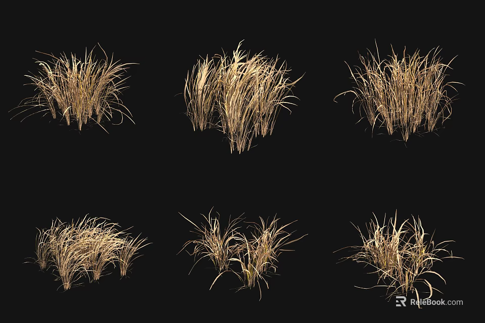 Golden Brown Dried Grass Clumps in Various Forms Displayed on Black Background 3d model 