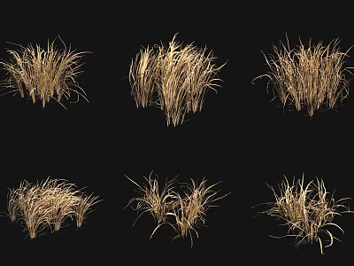 Golden Brown Dried Grass Clumps in Various Forms Displayed on Black Background 3d model