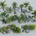 Diverse Tropical Arbor Trees With Various Species And Decorative Rocks For Garden Landscape
