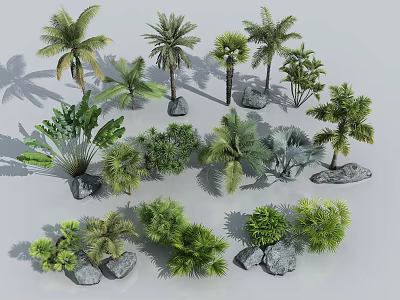 Diverse Tropical Arbor Trees With Various Species And Decorative Rocks For Garden Landscape 3d model