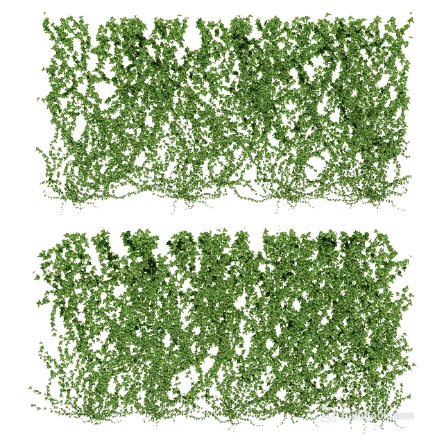Lush Green Climbing Vines As Decorative Plant Wall For Indoor Outdoor Spaces 3d model 
