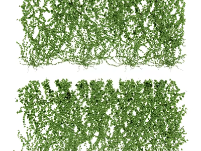 Lush Green Climbing Vines As Decorative Plant Wall For Indoor Outdoor Spaces 3d model