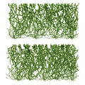 Lush Green Climbing Vines As Decorative Plant Wall For Indoor Outdoor Spaces