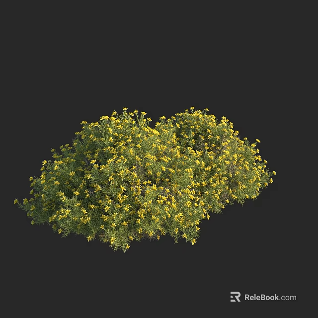 Lush Bushy Plant In Full Bloom With Vibrant Yellow Flowers And Green Leaves 3d model 