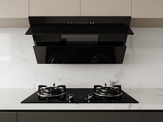 Range Hood Stove Combination Stove Side Range Hood 3d model