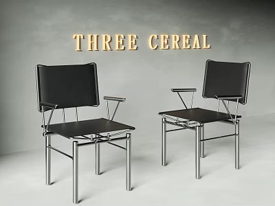 Two Modern Leisure Chairs With Black Seat And Sleek Metal Frame Design 3d model