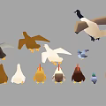 Collection Of Various Birds Including Ducks Chickens Geese And Poultry In Different Poses Colors