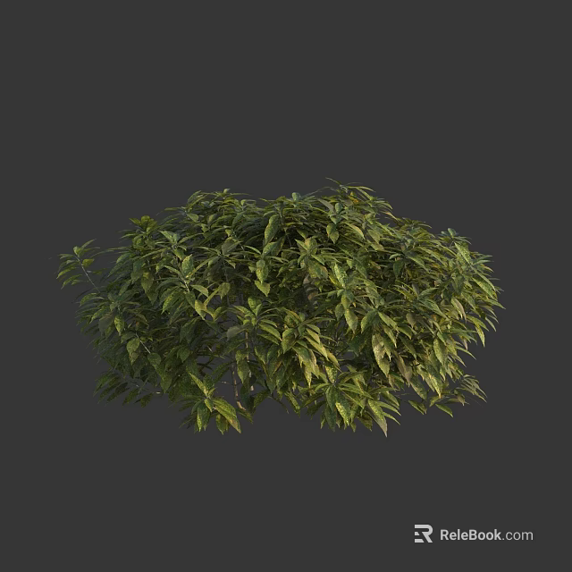 Lush Green Shrub With Dense Foliage And Vibrant Leaves For Outdoor Landscaping 3d model 