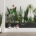 Potted Cacti and Succulent Plants for Indoor Decor with White Pots and Wall Planter
