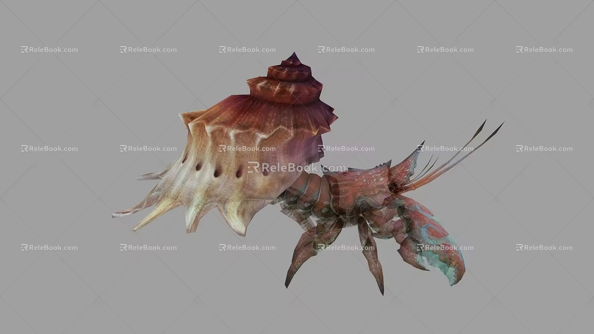 Hermit Crab Hermit Shrimp Hermit Crab Lobster Shell 3d model