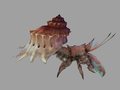 Colorful Marine Conch And Lobster With Intricate Shell Patterns And Textured Claws 3d model
