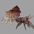 Hermit Crab Hermit Shrimp Hermit Crab Lobster Shell 3d model