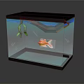 Clear Fish Tank Interior With Colorful Fish Green Aquatic Plants And Black Top