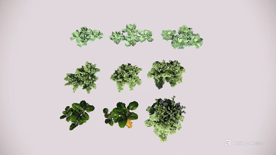 Various Fresh Green Leafy Crops With Healthy Growth And Diverse Types 3d model 