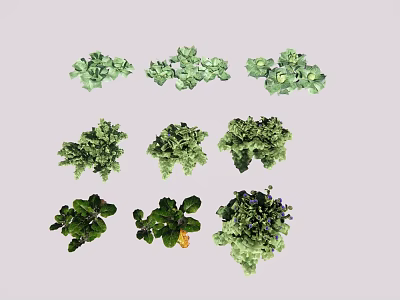 Various Fresh Green Leafy Crops With Healthy Growth And Diverse Types 3d model