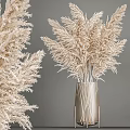 Elegant Pampas Grass Decorative Set With Metallic Vase For Interior Styling