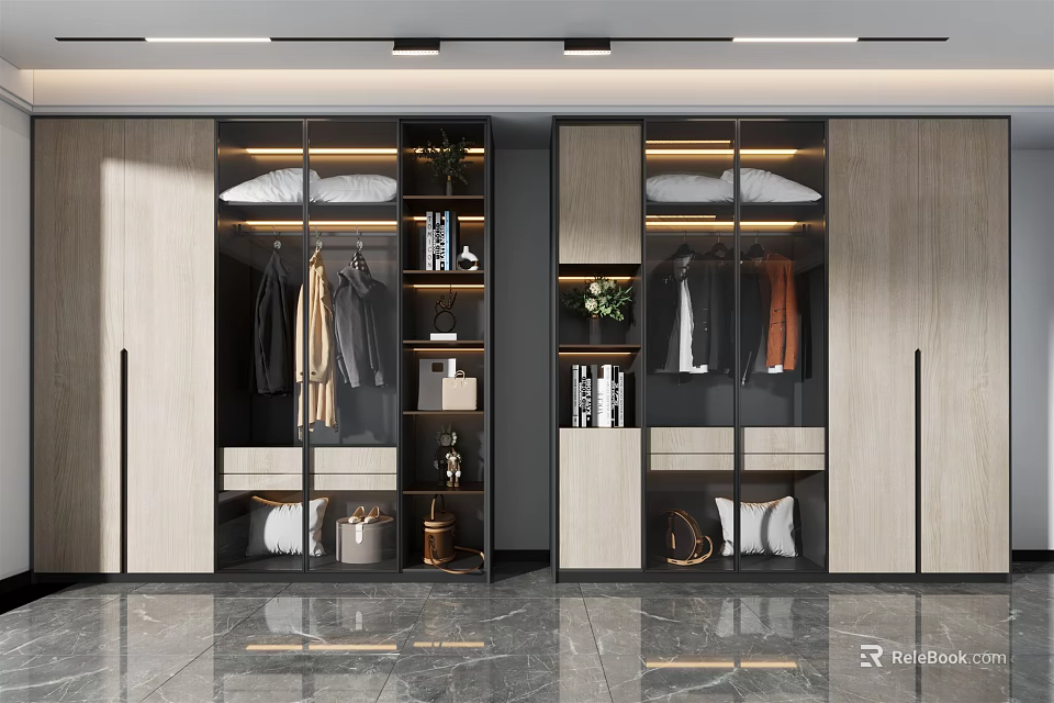 Modern Wardrobe Interior Design With Glass Doors Hanging Rods Drawers And Shelves 3d model 