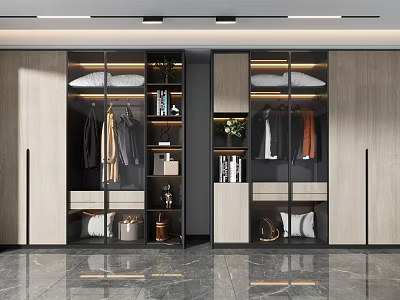 Modern Wardrobe Interior Design With Glass Doors Hanging Rods Drawers And Shelves 3d model