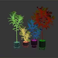 Four Green Potted Plants of Different Heights with Various Colored Pots on Dark Background