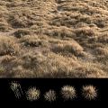 modern grassland desert grassland 3d model