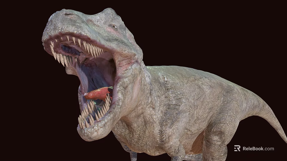 Realistic T Rex Dinosaur Model With Open Mouth And Sharp Teeth 3d model 