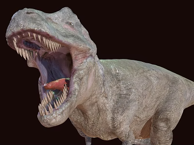 Realistic T Rex Dinosaur Model With Open Mouth And Sharp Teeth 3d model