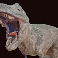 Realistic T Rex Dinosaur Model With Open Mouth And Sharp Teeth 3d model
