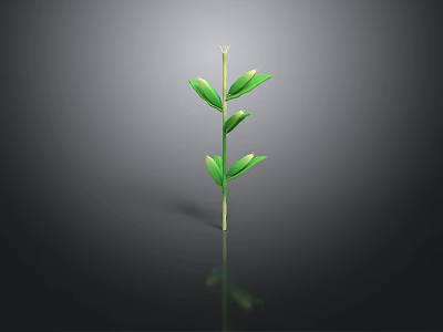 Green Plant Stem With Fresh Lush Leaves On Dark Reflective Surface 3d model