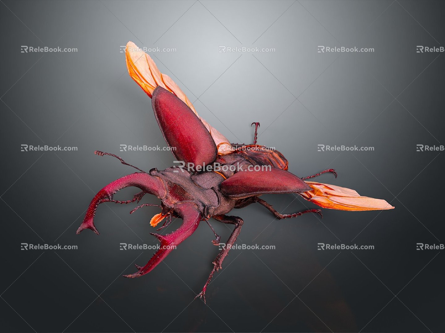 Modern spade beetle beetle beetle beetle scarab 3d model