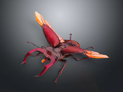 Red Flying Beetle with Large Horns and Orange Wings Showcasing Flying Insect Features 3d model