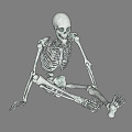 Modern Skeleton 3d model