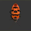 Red and Black Beetle Showcasing Vibrant Green and Pink Iridescent Colors on Dark Background