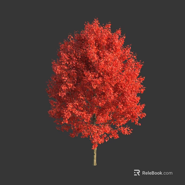 Vibrant Red Leaf Arbor with Lush Canopy and Bright Healthy Foliage 3d model 