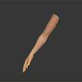 Detailed Human Arm Organ Model Displaying Skin Texture and Fine Hair Features