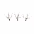 Ground with Silver Branches on Transparent Base Against Black Background