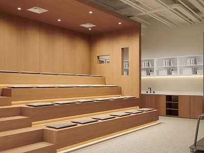Modern School Learning Space With Wooden Walls Stepped Seating And Open Bookshelves 3d model
