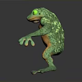 Green and Orange Frog 3D Model with Large Eyes on Black Surface Reflection 3d model