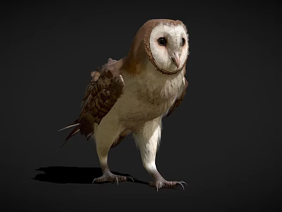 Barn Owl A Flying Animal Standing With Brown White Feathers Sharp Talons On Dark Background 3d model