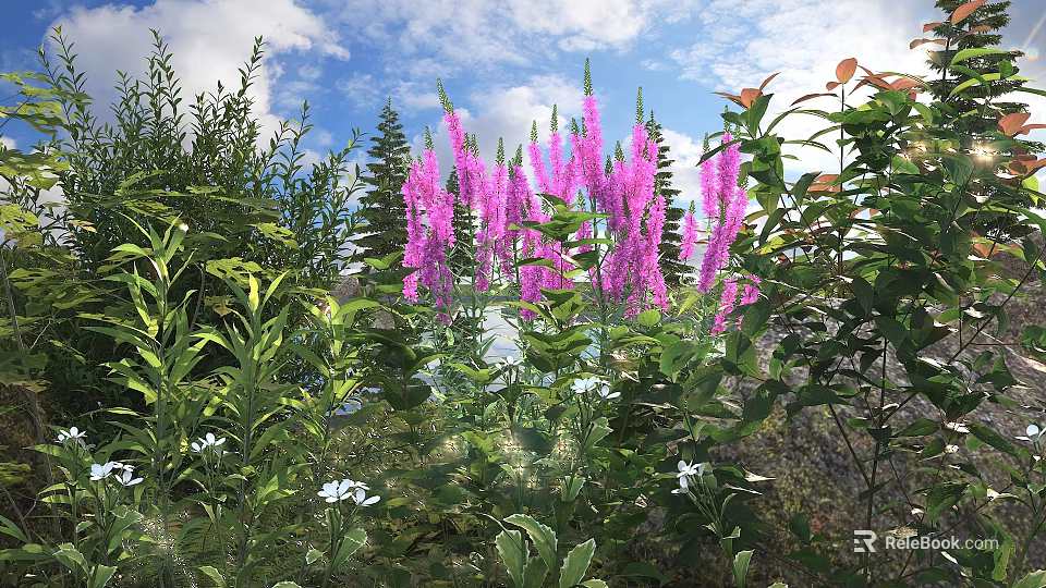Purple Flowering Shrub with Lush Green Foliage and Small White Flowers in Sunlit Garden 3d model 